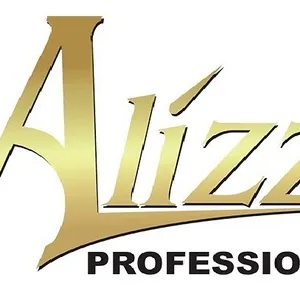 secador-profesional-alizz-3300-peluqueria-1-ano-garantia2