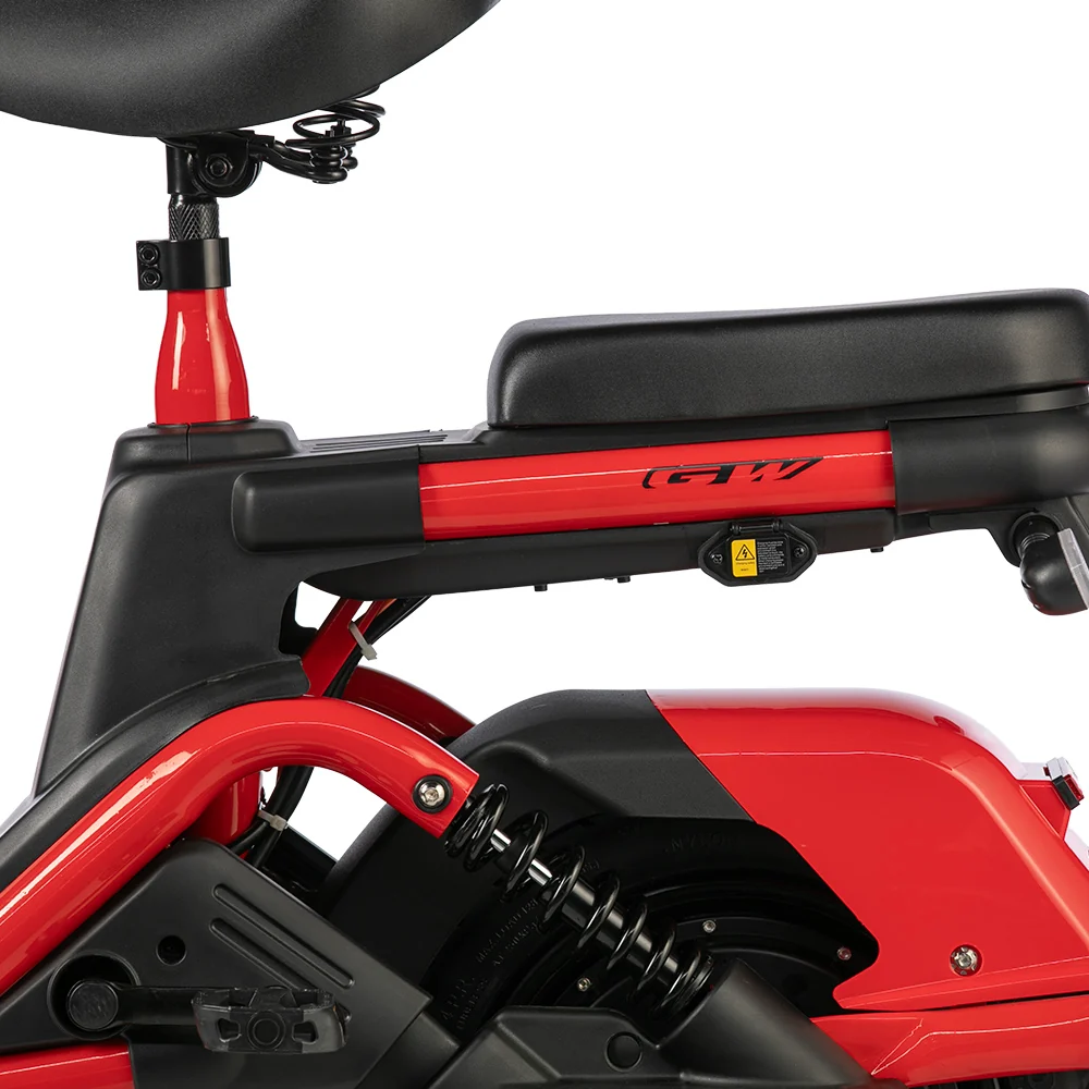 Bicicleta Eléctrica 800W E-Max - Image 5